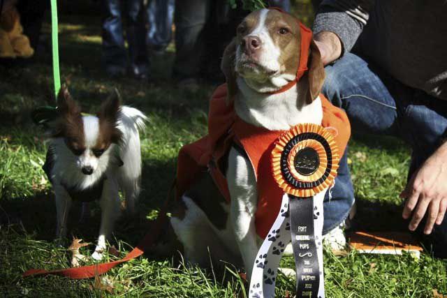 Third place winner Peas and Carrots (from left to right).